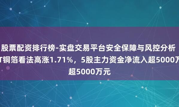 股票配资排行榜-实盘交易平台安全保障与风控分析 PET铜箔看法高涨1.71%，5股主力资金净流入超5000万元